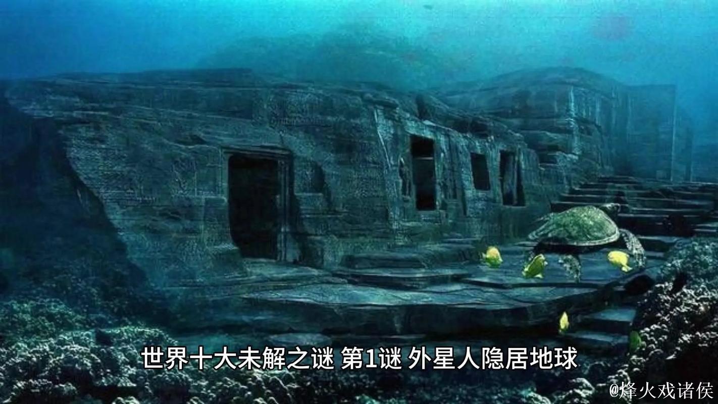 微密群圈986790的神秘世界探索